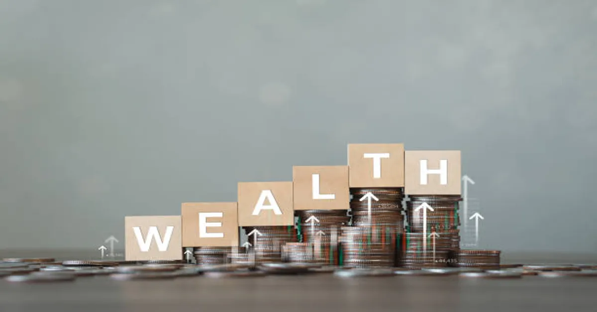 Pedrovazpaulo Wealth Investment